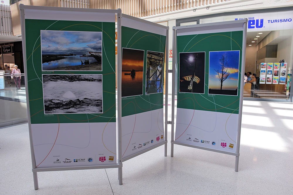 Exposição Luz da Mourisca - Alegro Setúbal