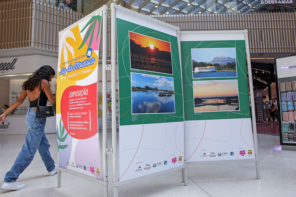 Exposição Luz da Mourisca - Alegro Setúbal