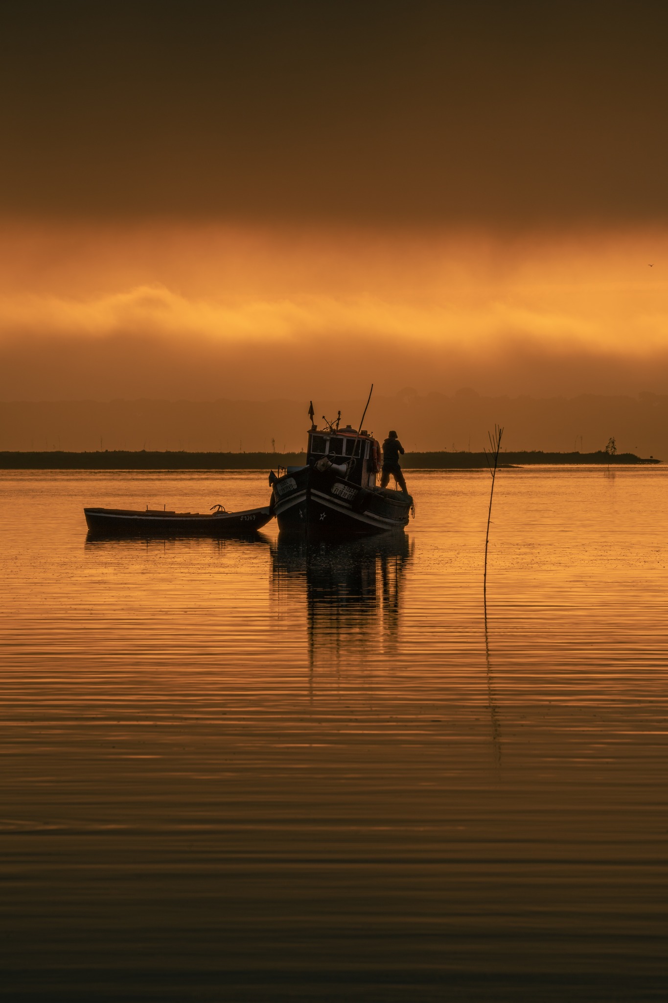 Exposição "Luz da Mourisca" com foto de José Maurício