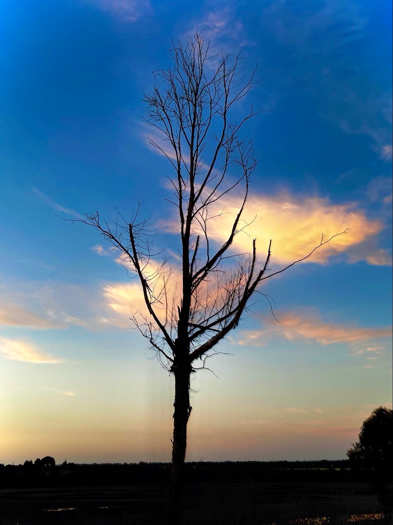 Exposição "Luz da Mourisca" com foto de Teresa Pontes