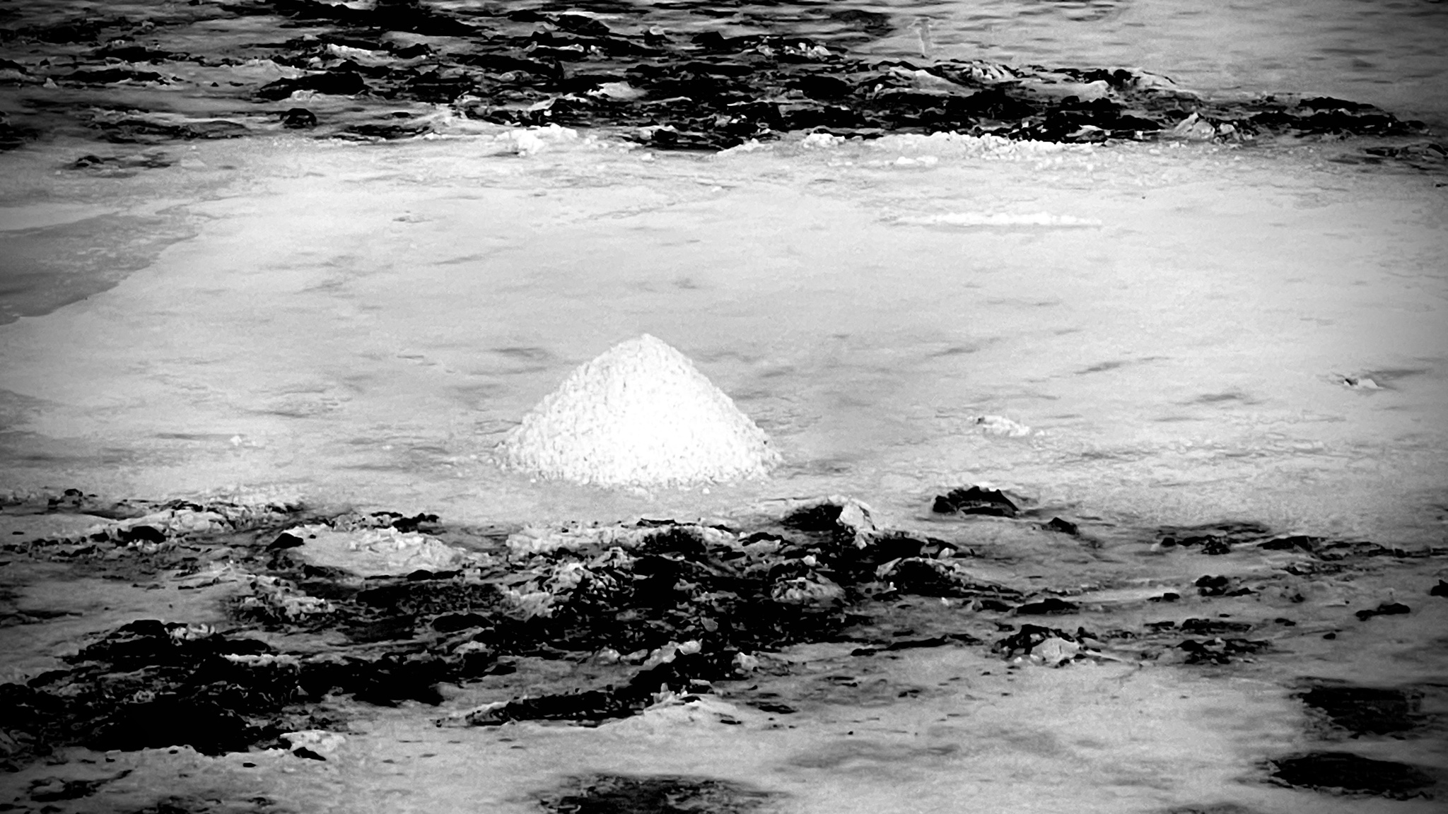 Exposição "Luz da Mourisca" com foto de Vítor Santos