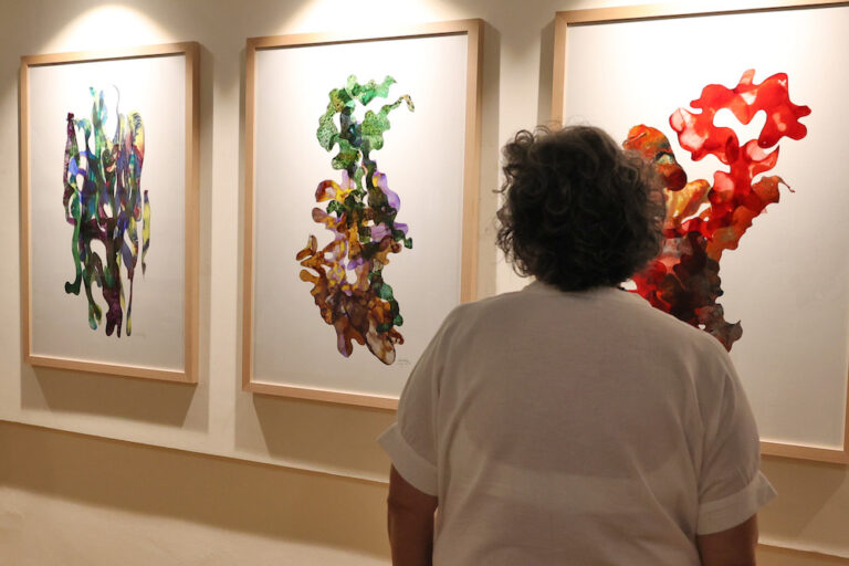 Dália Vale Rêgo e Manuela Ducla Soares expõem "Linha e Mancha" na Biblioteca Municipal