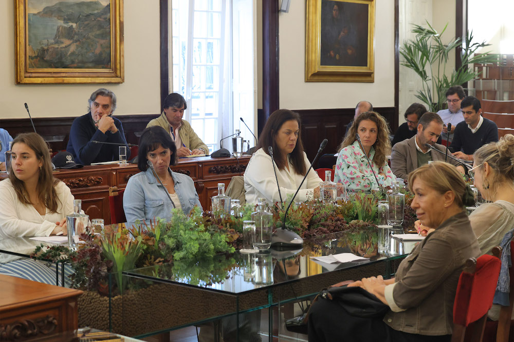 CLASS - Conselho Local de Ação Social de Setúbal -reunião extraordinária - análise da situação social e económica do concelho