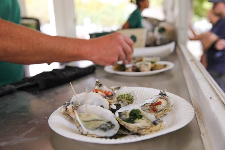 Primeira edição da Festa do Mar, no Largo José Afonso.