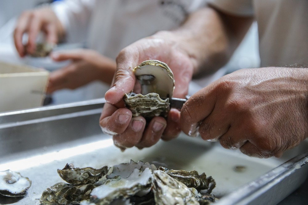 Especial Ostra de Setúbal na Festa do Mar 2022