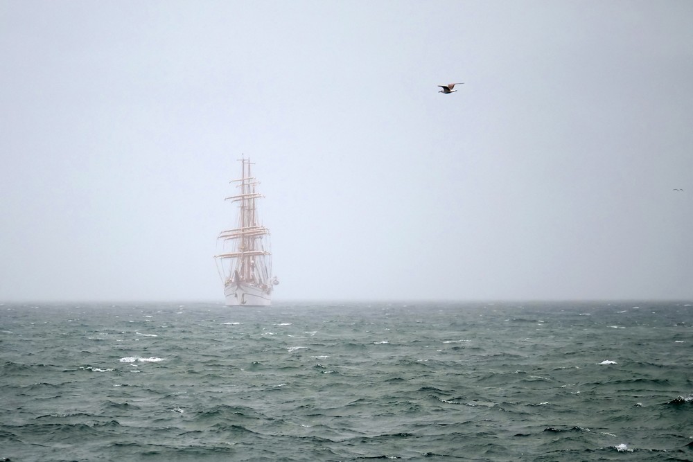 Semana do Mar 2022 - Chegada do navio-escola Sagres - Cais 2 do porto de Setúbal