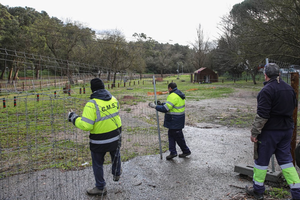 Câmara Municipal retirou vedações do Parque de Merendas da Comenda, para repor legalidade e devolver o espaço à população.
