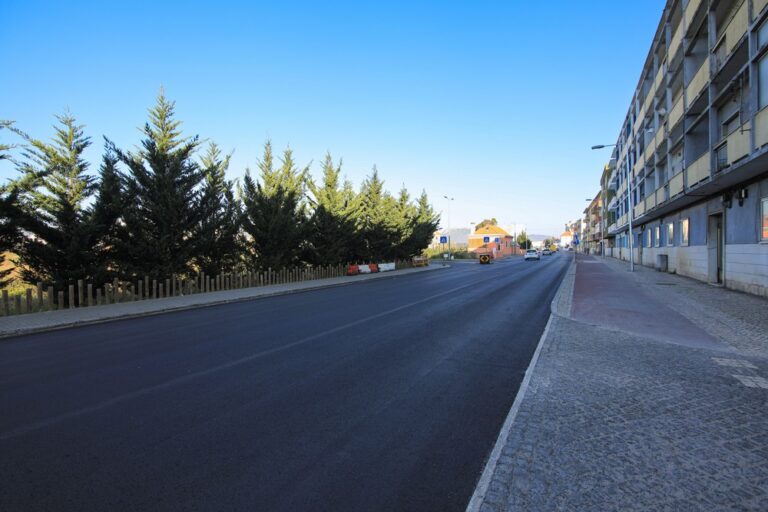 Troço da Avenida dos Ciprestes, junto da Praceta da Meia Laranja, com o pavimento reparado.