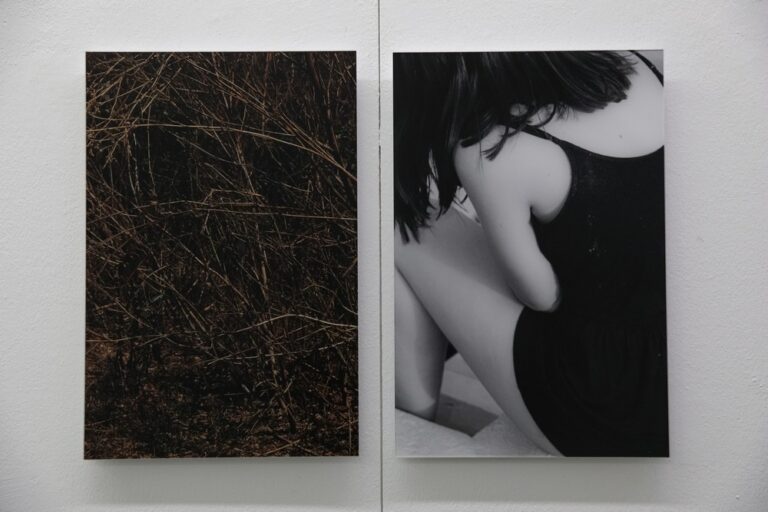 Exposição “Sustentar” exibe trabalhos de seis artistas sobre projetos implementados em Portugal com o objetivo de dar resposta aos desafios ecológicos e sociais.