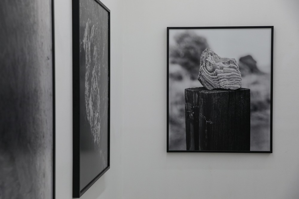 Exposição “Sustentar” exibe trabalhos de seis artistas sobre projetos implementados em Portugal com o objetivo de dar resposta aos desafios ecológicos e sociais.