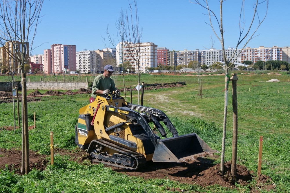 Dia Mundial da Árvore - Plantação de árvores no Parque Urbano na Várzea com alunos e Executivo