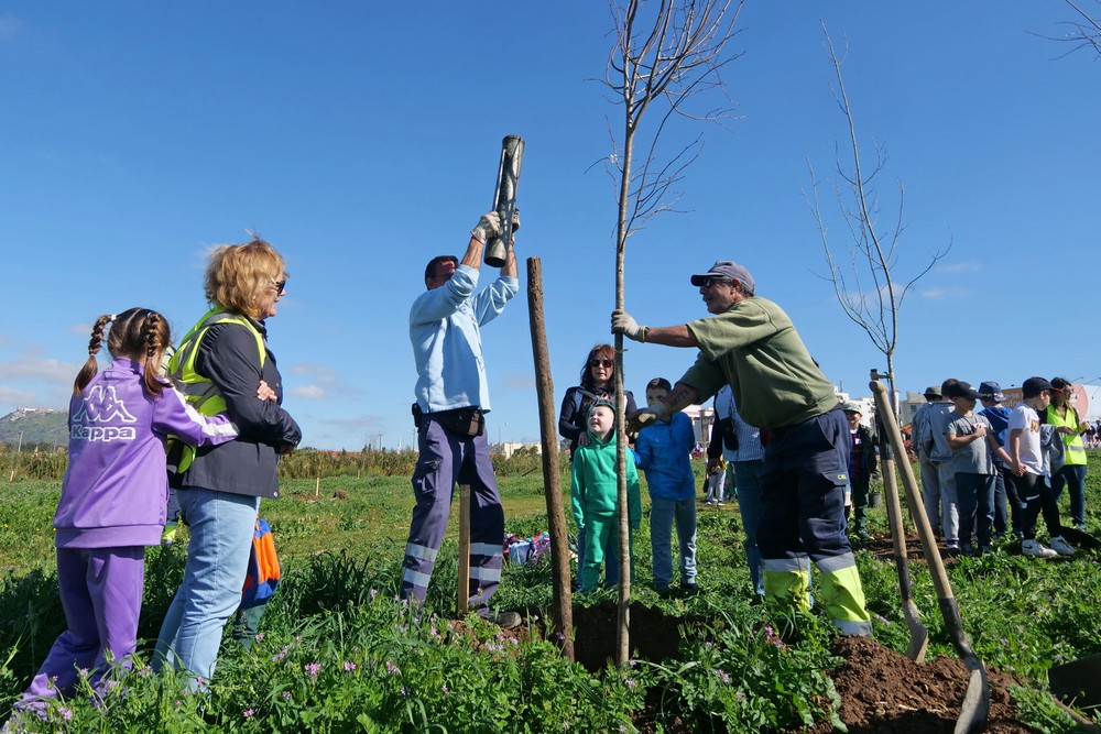 Dia Mundial da Árvore - Plantação de árvores no Parque Urbano na Várzea com alunos e Executivo