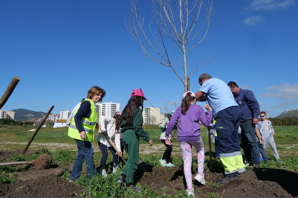 Dia Mundial da Árvore - Plantação de árvores no Parque Urbano na Várzea com alunos e Executivo