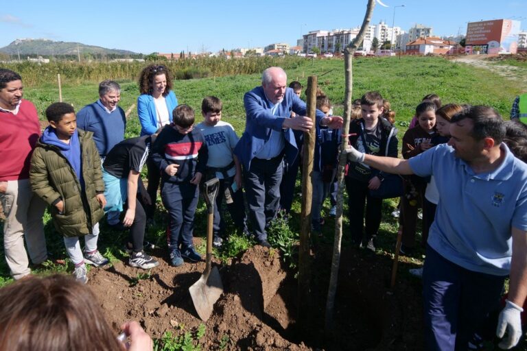 Dia Mundial da Árvore - Plantação de árvores no Parque Urbano na Várzea com alunos e Executivo