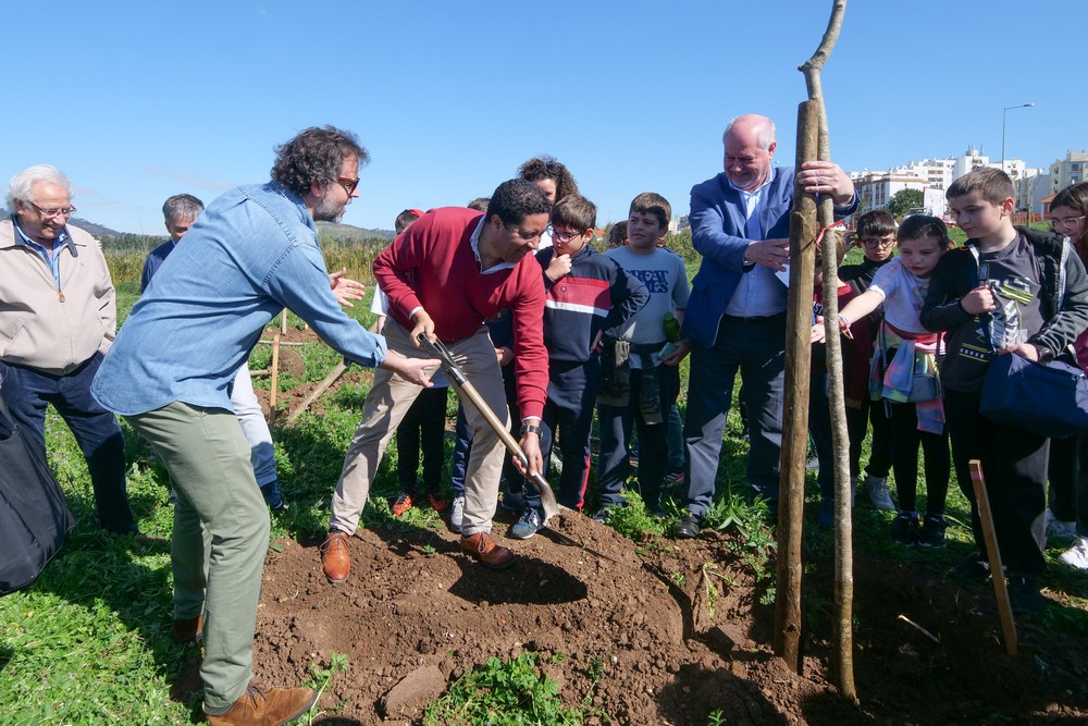 Dia Mundial da Árvore - Plantação de árvores no Parque Urbano na Várzea com alunos e Executivo