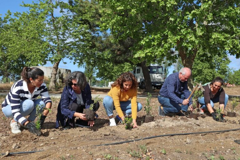Plantação de Árvores no Parque da Bacalhôa II