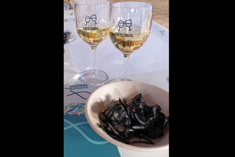 Sessão do ciclo “Encontros Prováveis”, na sede do Rancho Folclórico das Praias do Sado, encerrou a Semana do Choco