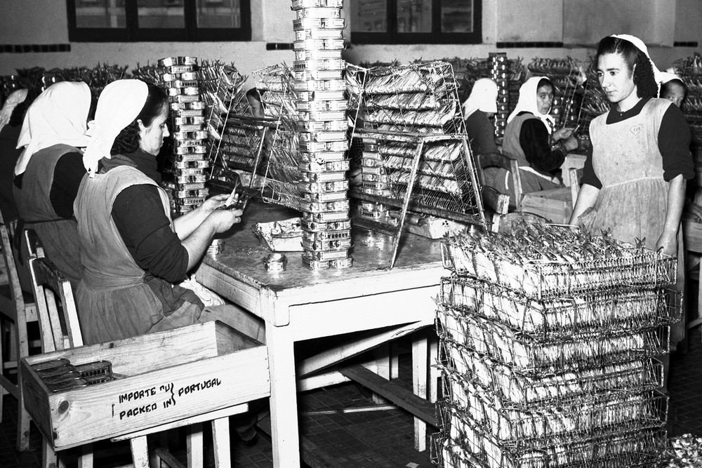 Visita guiada e peddy-paper sovre Indústria Conserveira