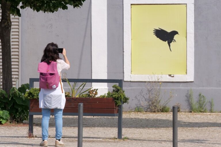 XVIII Meia Maratona Fotográfica de Setúbal