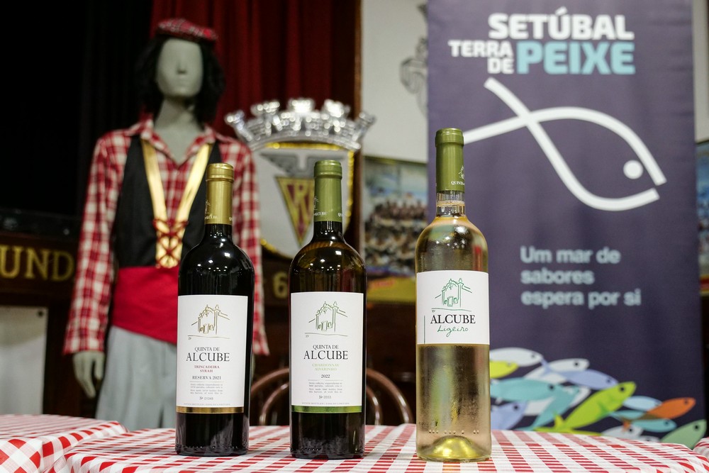 Semana da Cavala - Encontros Prováveis - Clube Recreativo Palhavã