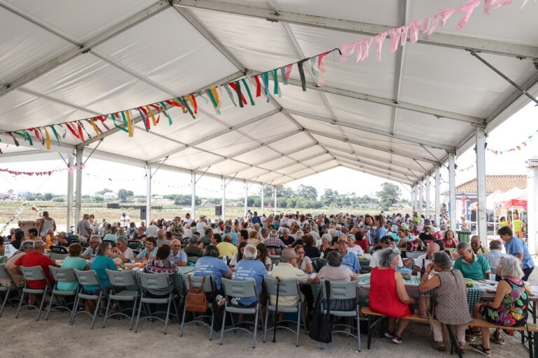 Piquenicão Concelhio