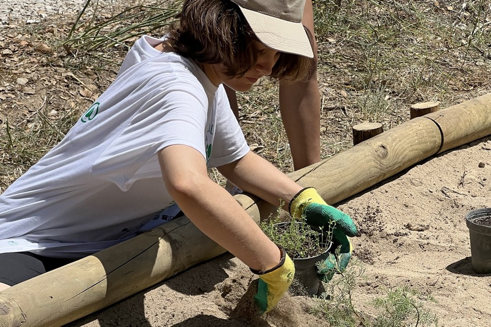 Edição de 2023 do projeto de voluntariado ambiental Consciente(mente), desenvolvido pela Câmara Municipal em parceria com as juntas de freguesia, envolveu 33 jovens voluntários