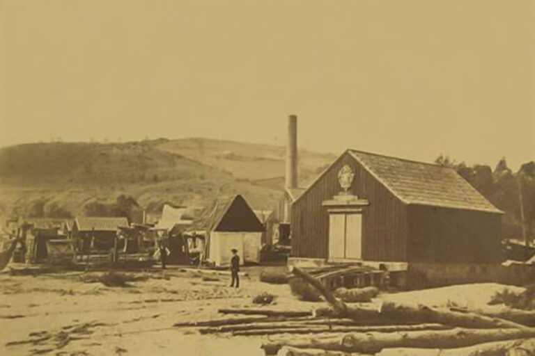 Imagem da coleção de Kuchembuck de Figueiredo