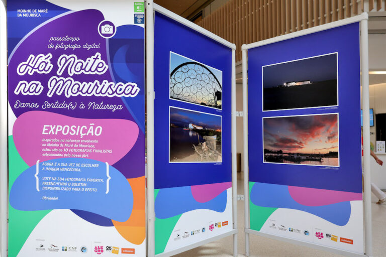 Há Noite na Mourisca - exposição Alegro Setúbal - passatempo de fotografia digital