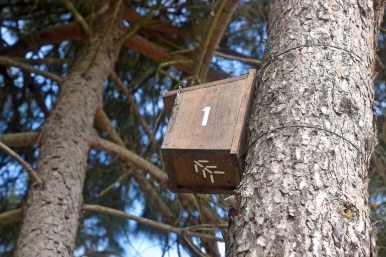 Estação da Biodiversidade do IPS