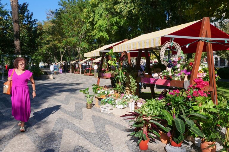 Festa da Flor - Abertura oficial e Mostra de Artes e Ofícios