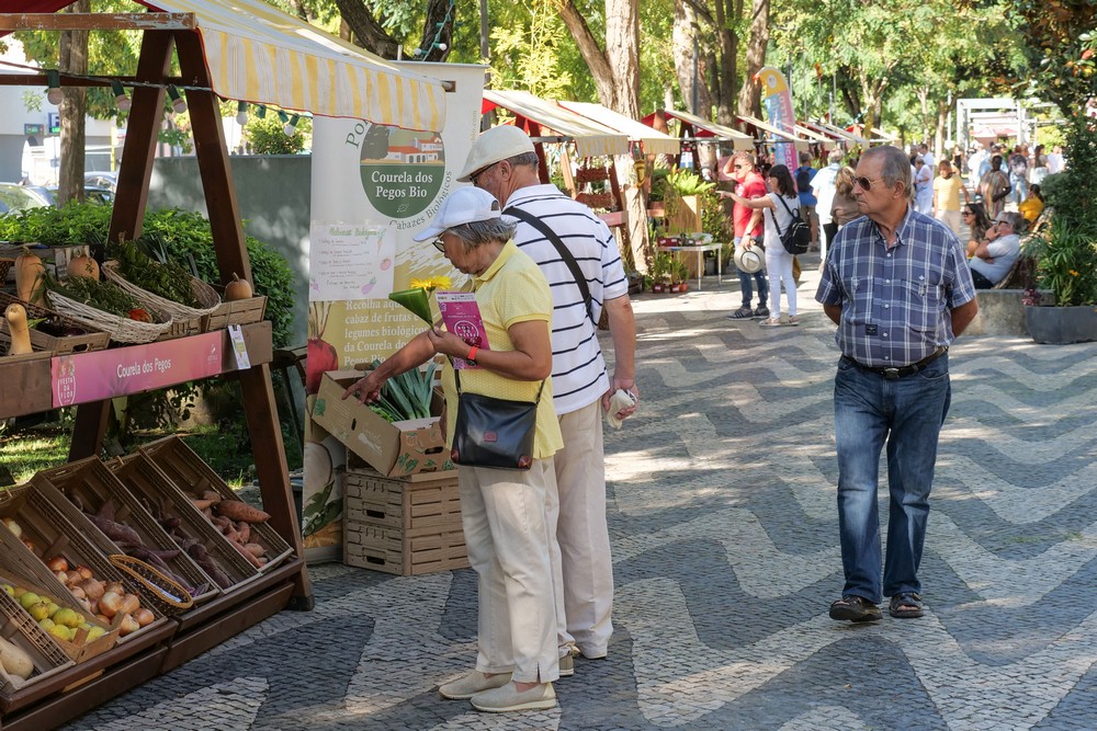Festa da Flor - Abertura oficial e Mostra de Artes e Ofícios