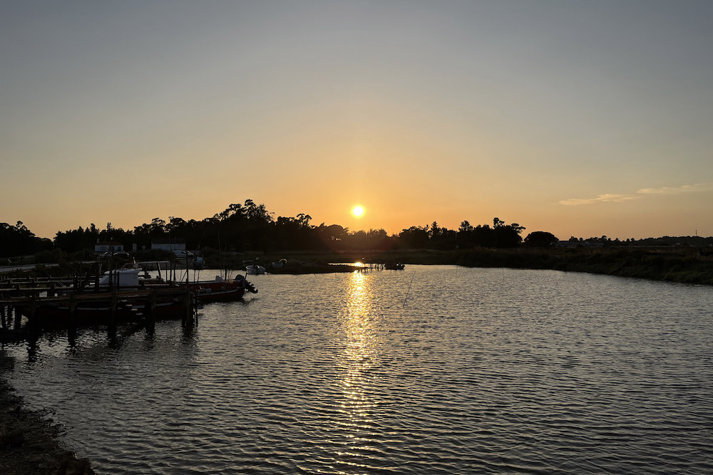 Passatempo de fotografia digital “Há Noite na Mourisca – Damos Sentido(s) à Natureza” - A foto número 2, “Há indícios de noite na Mourisca”, de Ana Gaiveo, ganhou o prémio do público