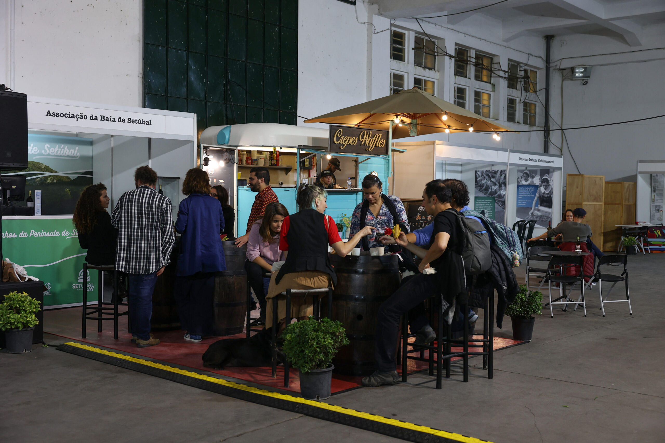 Venham mais Vinte e Cincos | Comemorações dos 50 anos do 25 de Abril - Feira do Livro e do Disco Políticos