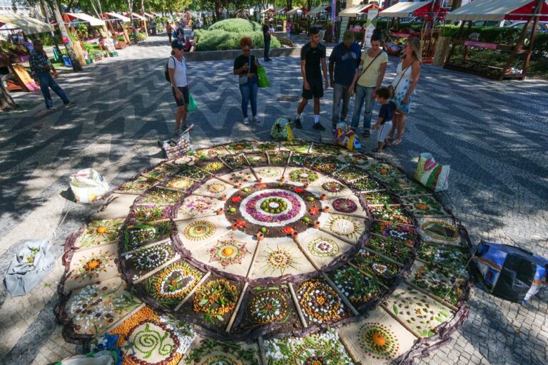 Festa da Flor 2023 - Mandala Coletiva
