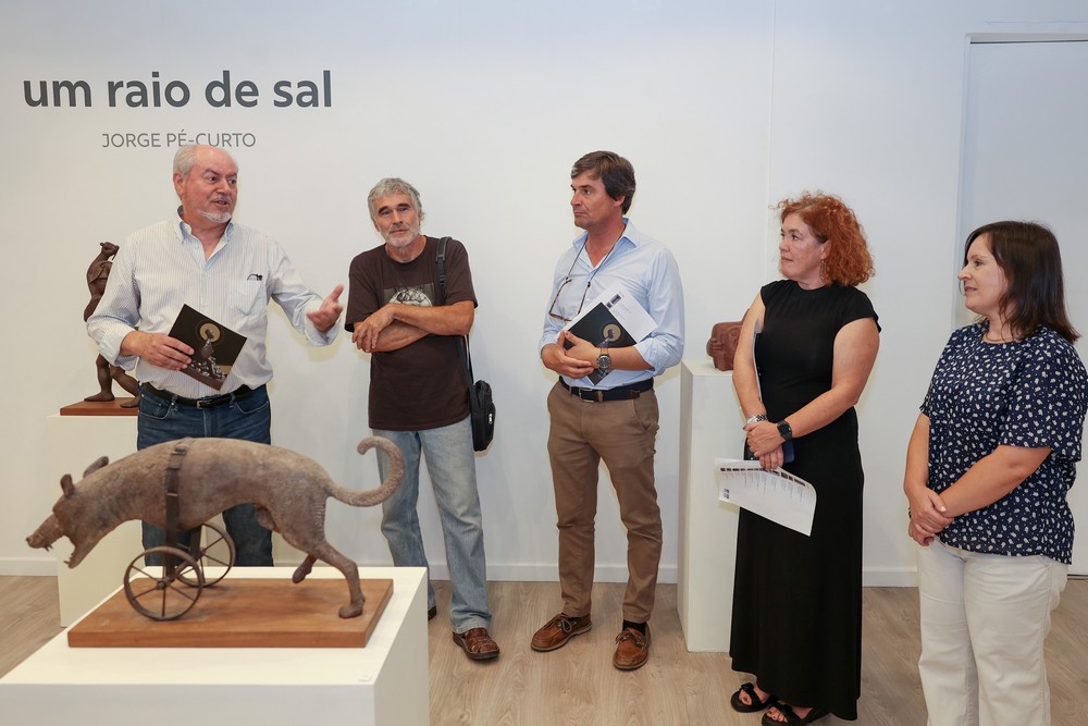 Um Raio de Sal - inauguração de exposição de Jorge Pé-Curto - MAEDS