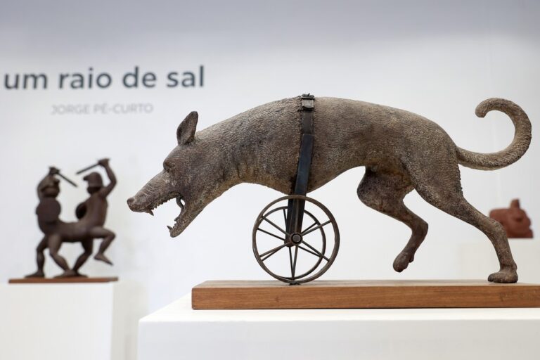 Um Raio de Sal - inauguração de exposição de Jorge Pé-Curto - MAEDS