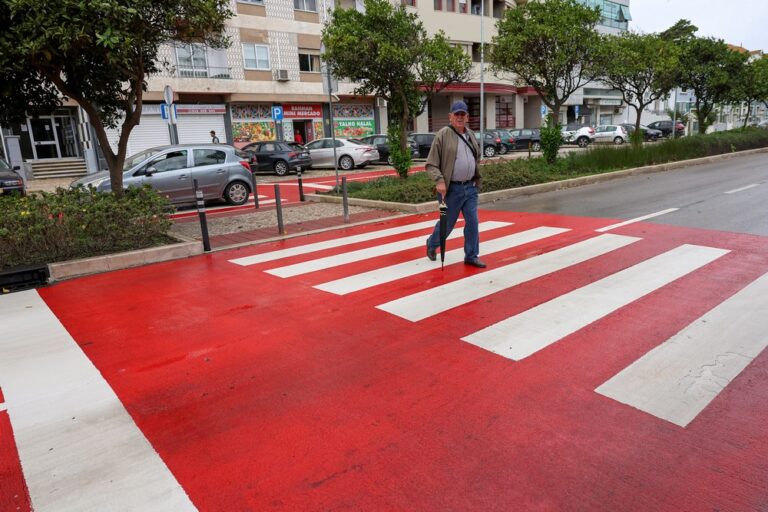 Lavagem de passadeiras em zonas de maior movimento pedonal - Avenida 22 de Dezembro