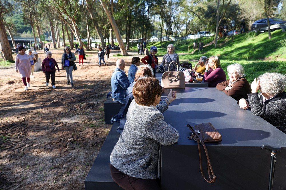 Magusto no Parque de Merendas da Comenda