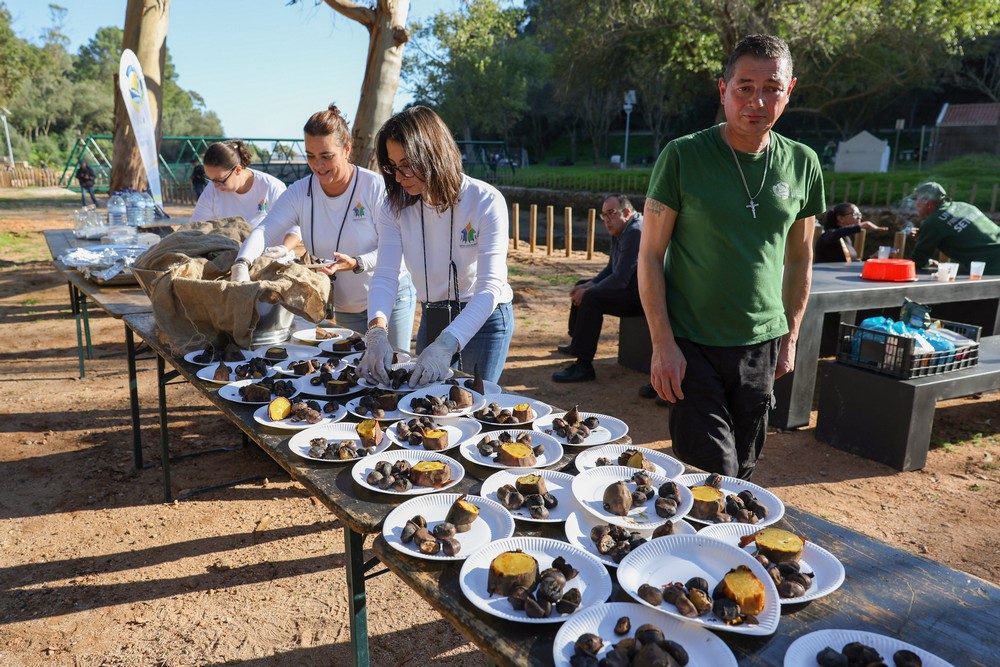 Magusto no Parque de Merendas da Comenda