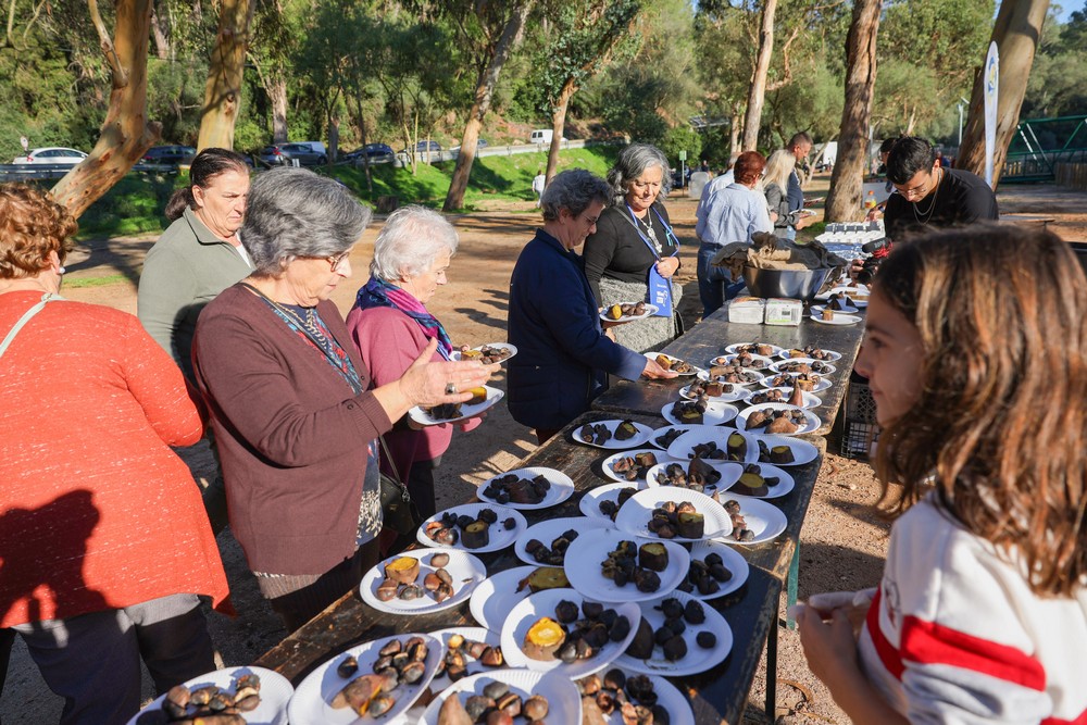 Magusto no Parque de Merendas da Comenda