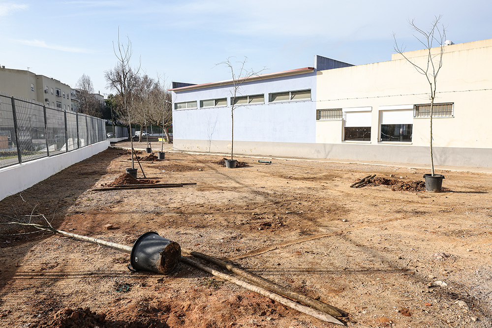 Jardineiro Por Um Dia | EB do Peixe Frito