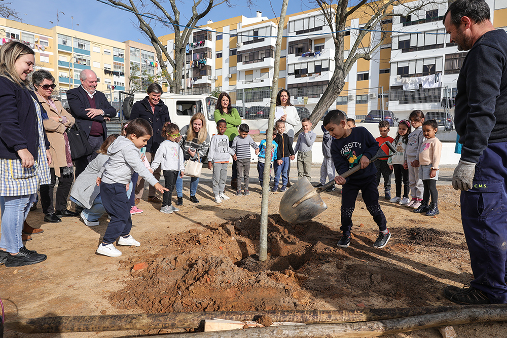 Jardineiro Por Um Dia | EB do Peixe Frito