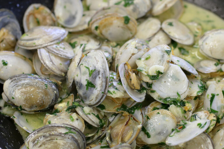 Semana dos Bivalves 2024