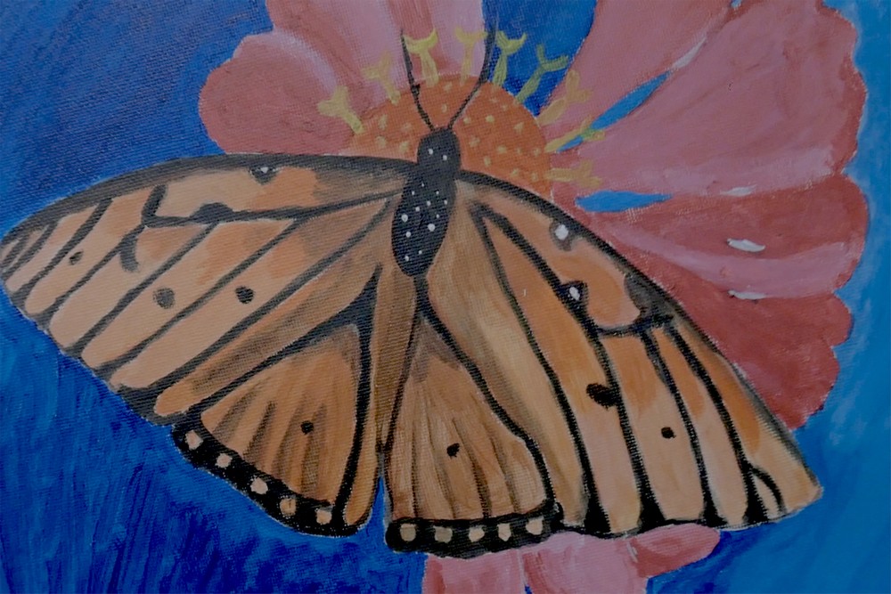 Inauguração da exposição de desenho e pintura “Tons da Natureza”, de Raquel Bento, na Galeria de Exposições da Biblioteca de Azeitão