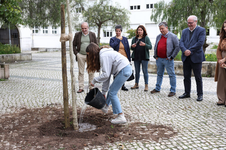 Alunos do 8.º ano plantaram 14 árvores na Escola Secundária de Bocage, no Dia Mundial da Árvore e Dia Internacional das Florestas, numa ação da Câmara Municipal que contou com a presença do presidente, André Martins, e da vice-presidente, Carla Guerreiro
