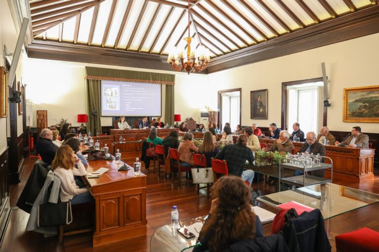 Conselho Local de Ação Social de Setúbal reuniu a 21 de março