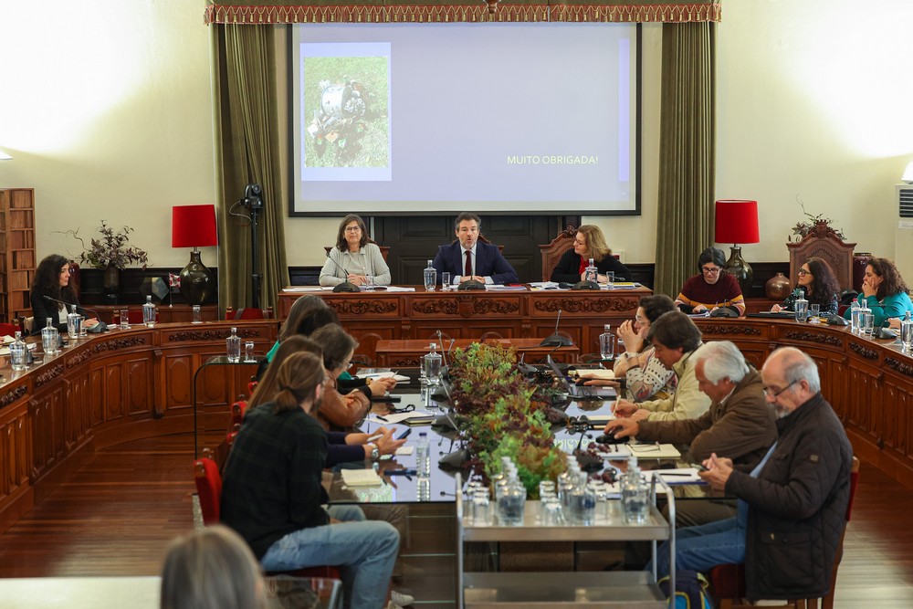Conselho Local de Ação Social de Setúbal reuniu a 21 de março