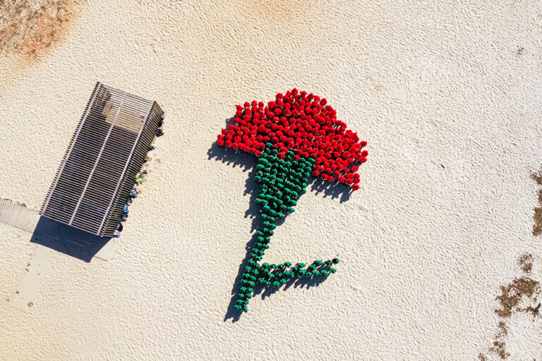 25 de Abril - Mês das Mulheres CMS - Cravo da Liberdade