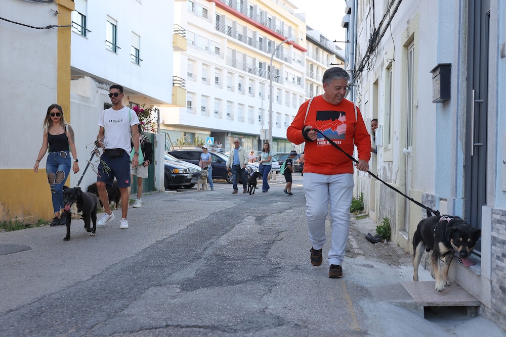 Jornadas de Ambiente | Caminhada com cães
