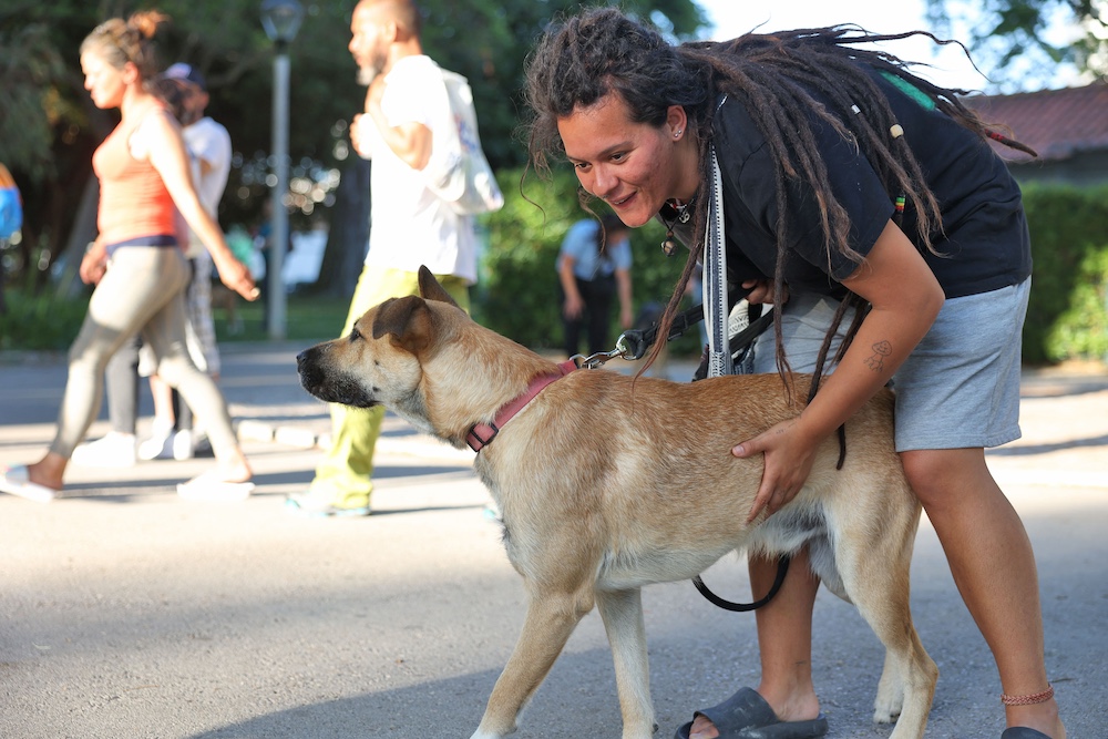 Jornadas de Ambiente | Caminhada com cães